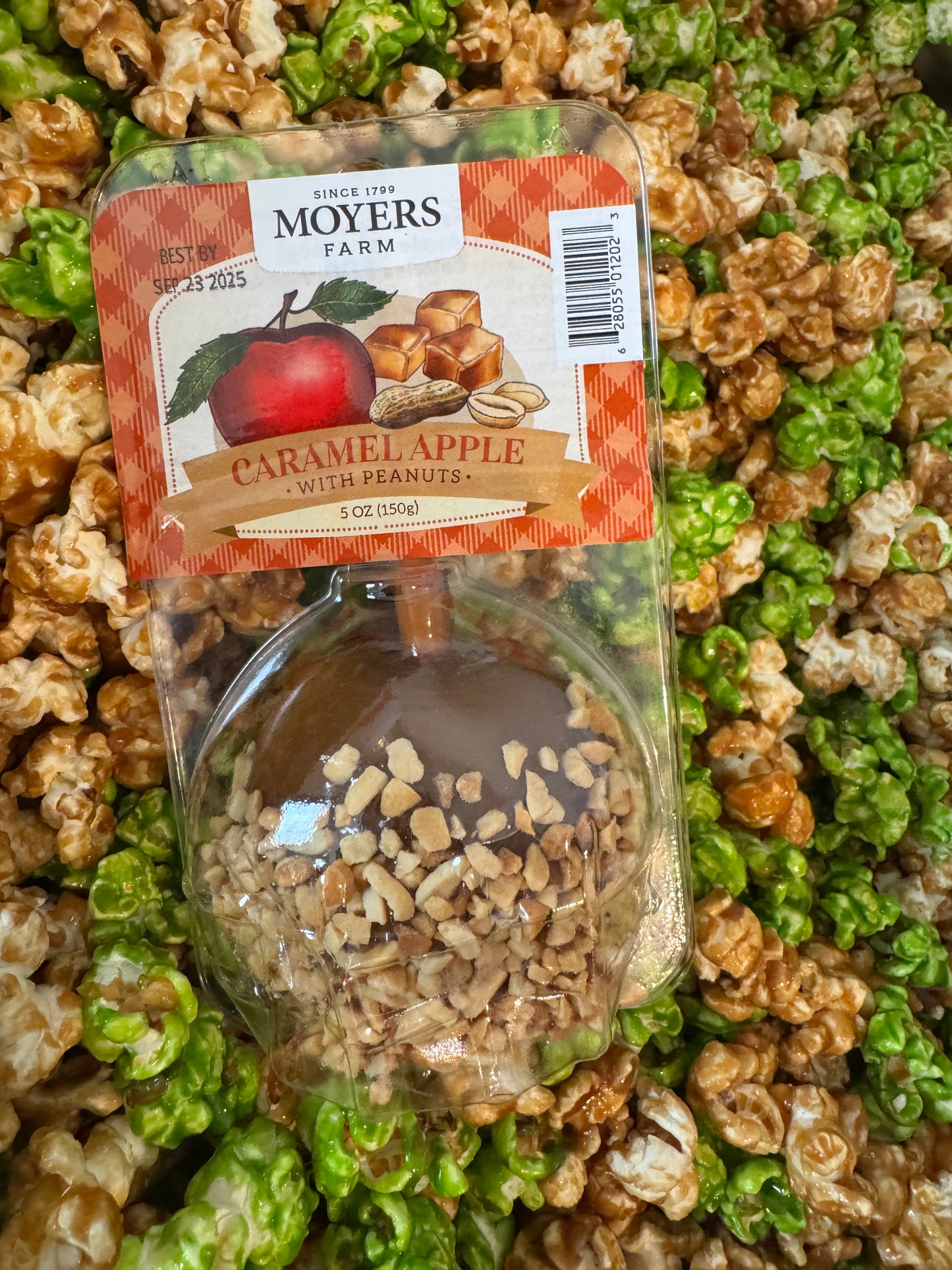 Caramel Apple with Peanuts