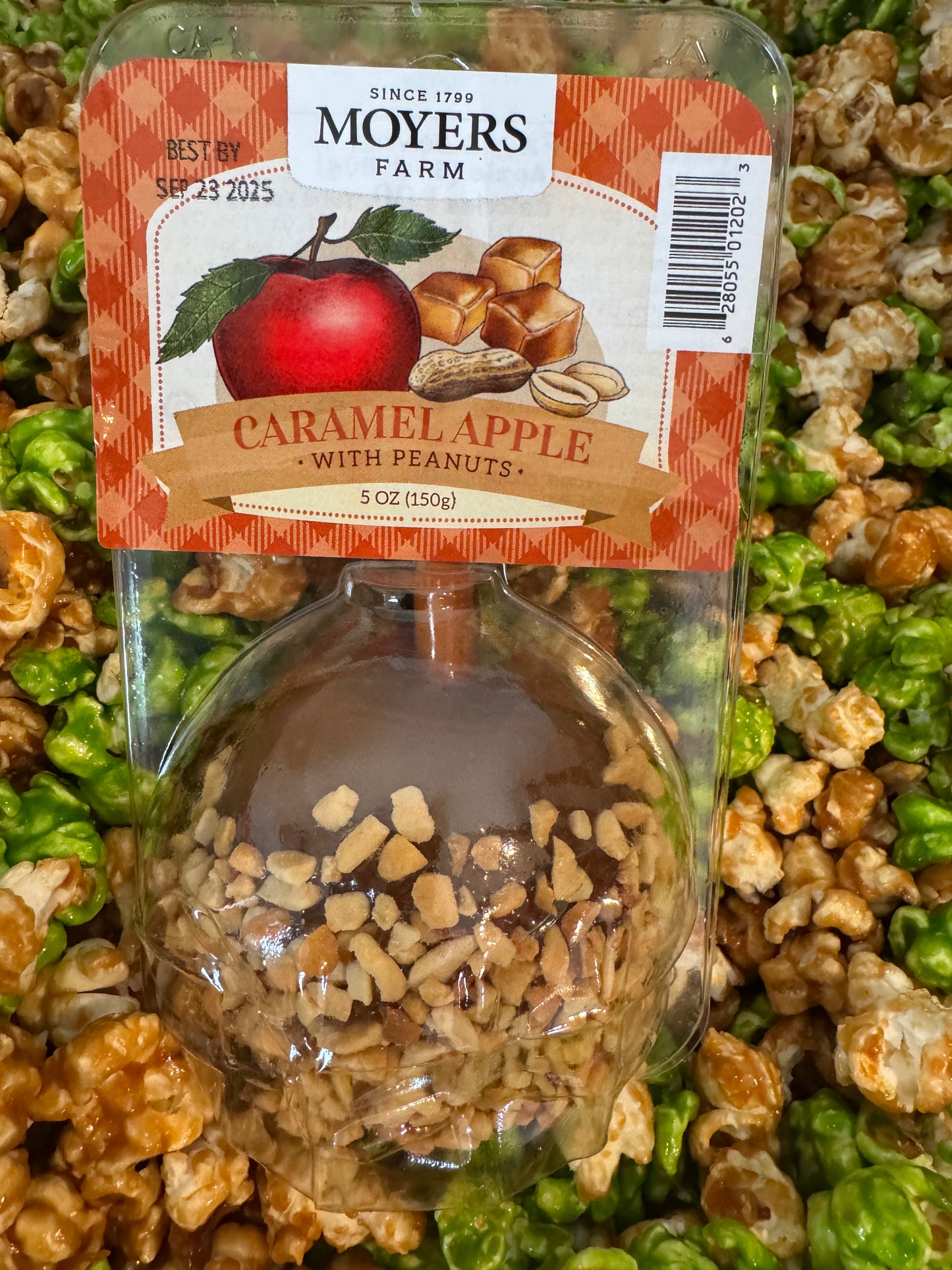 Caramel Apple with Peanuts